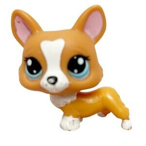 LPS Littlest Pet Shop Authentic Corgi Dog #1360 Blue Star Eyes Figure